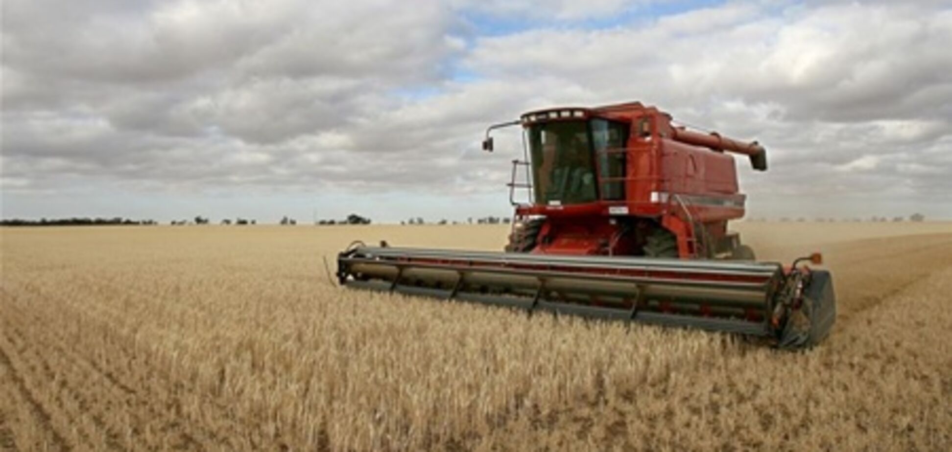 Новиков: Украина должна стать полноценным участником на зерновом рынке