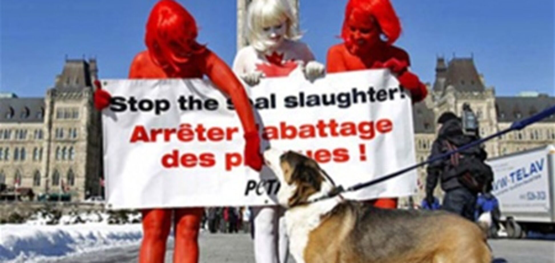 Картина дня: 16 февраля в фотографиях