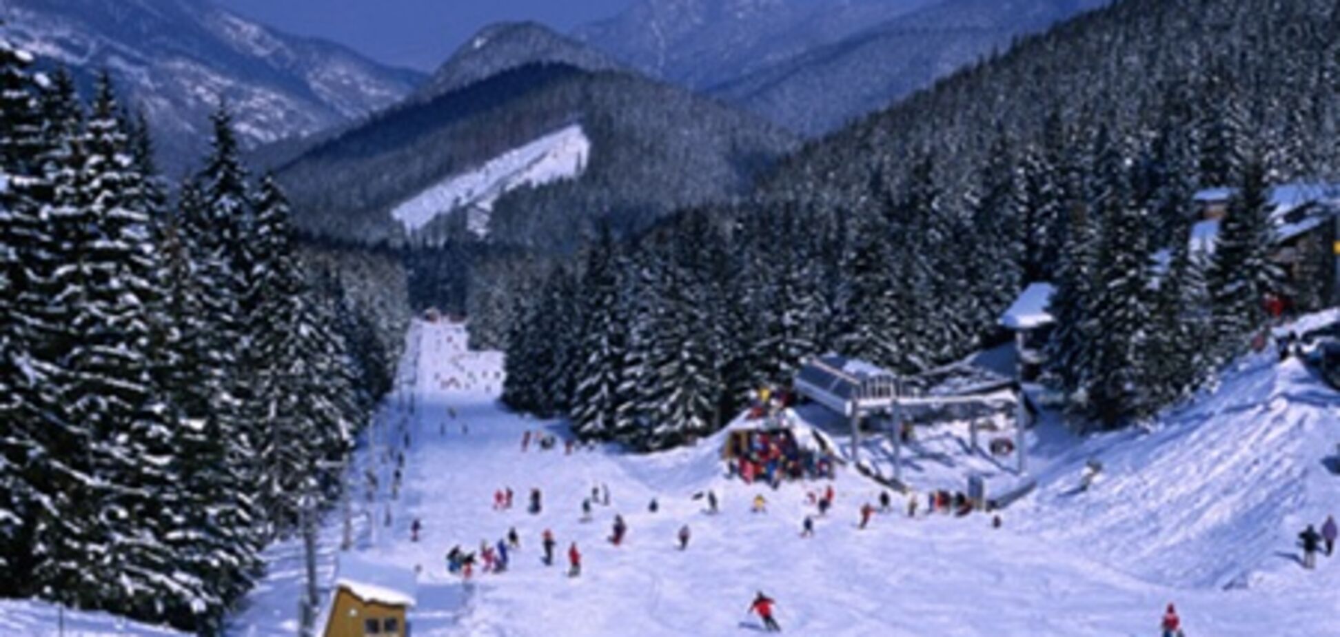 Вывозить вырубленный лес из Карпат станет трудней