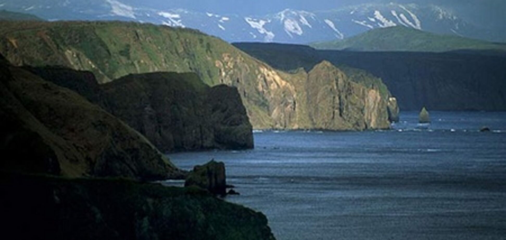 ЖЖ. Японія оголошує Росії війну?