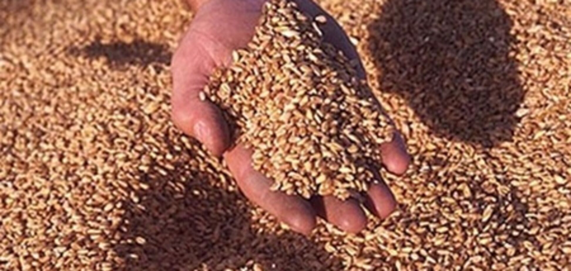 Власти обойдутся без квот