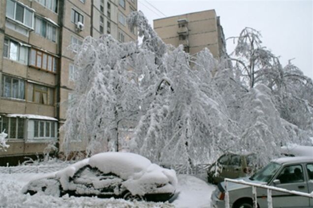 Жители Киева начали зарабатывать на снегопаде 