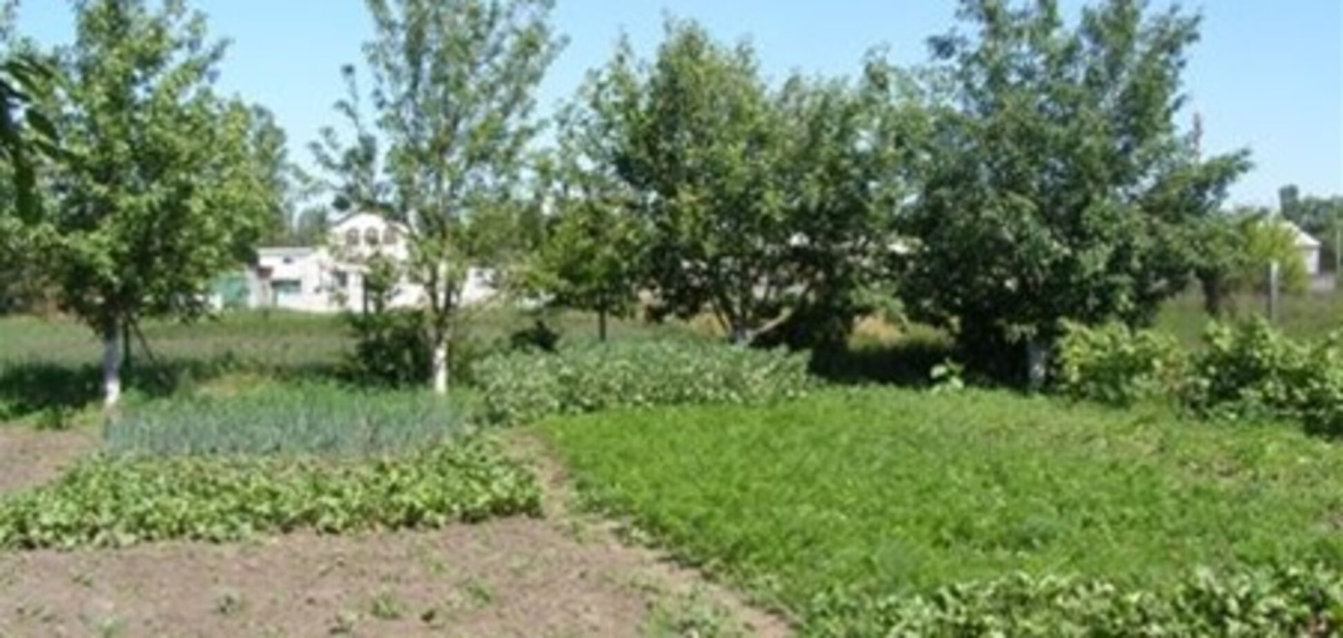 В Крыму началась грандиозная распродажа земли
