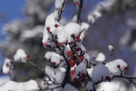 Коли в Україну прийде справжня весна?