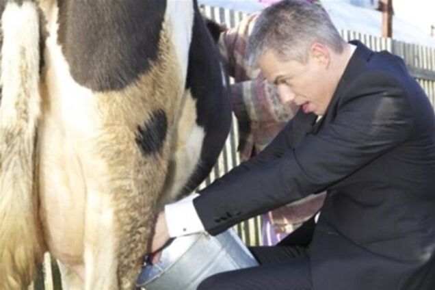 Экс-ведущий проекта 'Фабрика звезд' научился доить коров