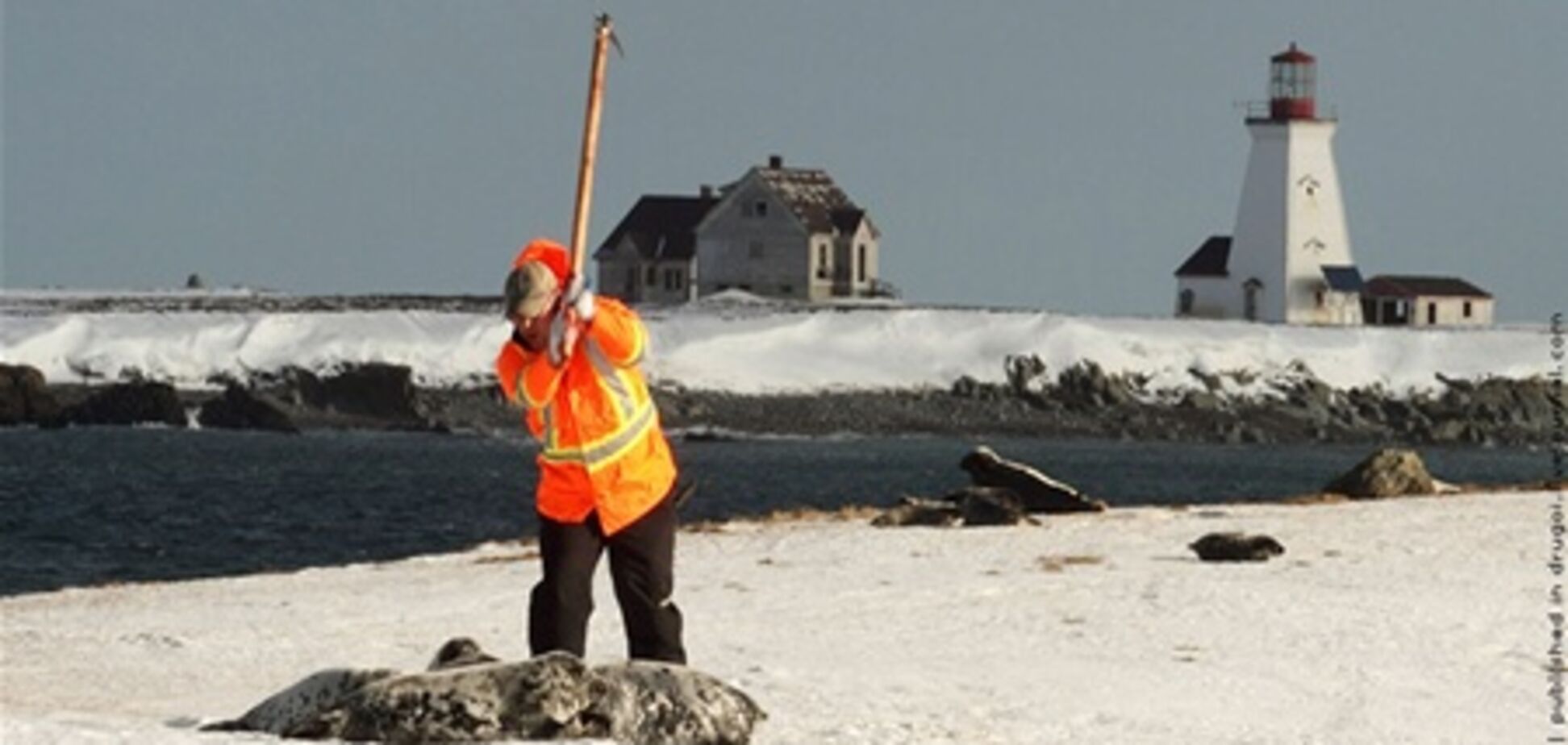 LIVE. Сьогодні - день відкриття самої кровожерливої ??полювання в світі. Фото