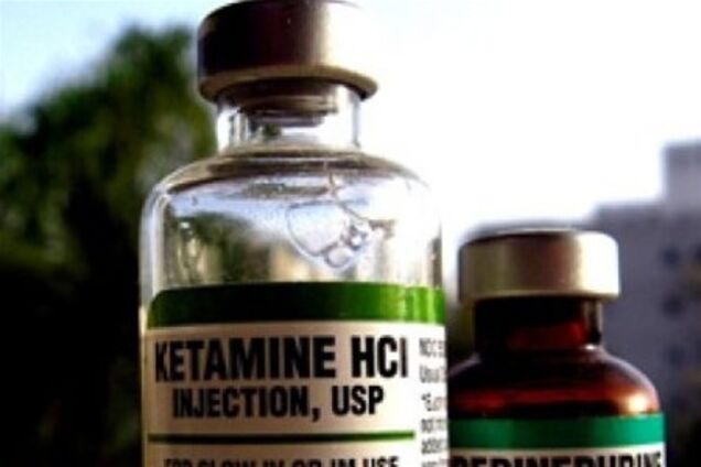 Кошки и собаки страдают из-за политиков