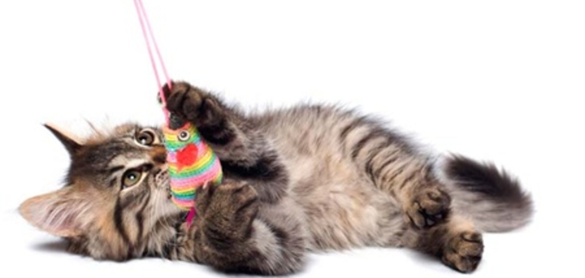 Шкуродери в краватках