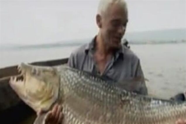 Рыбак поймал 50-килограммовую пиранью. ФОТО