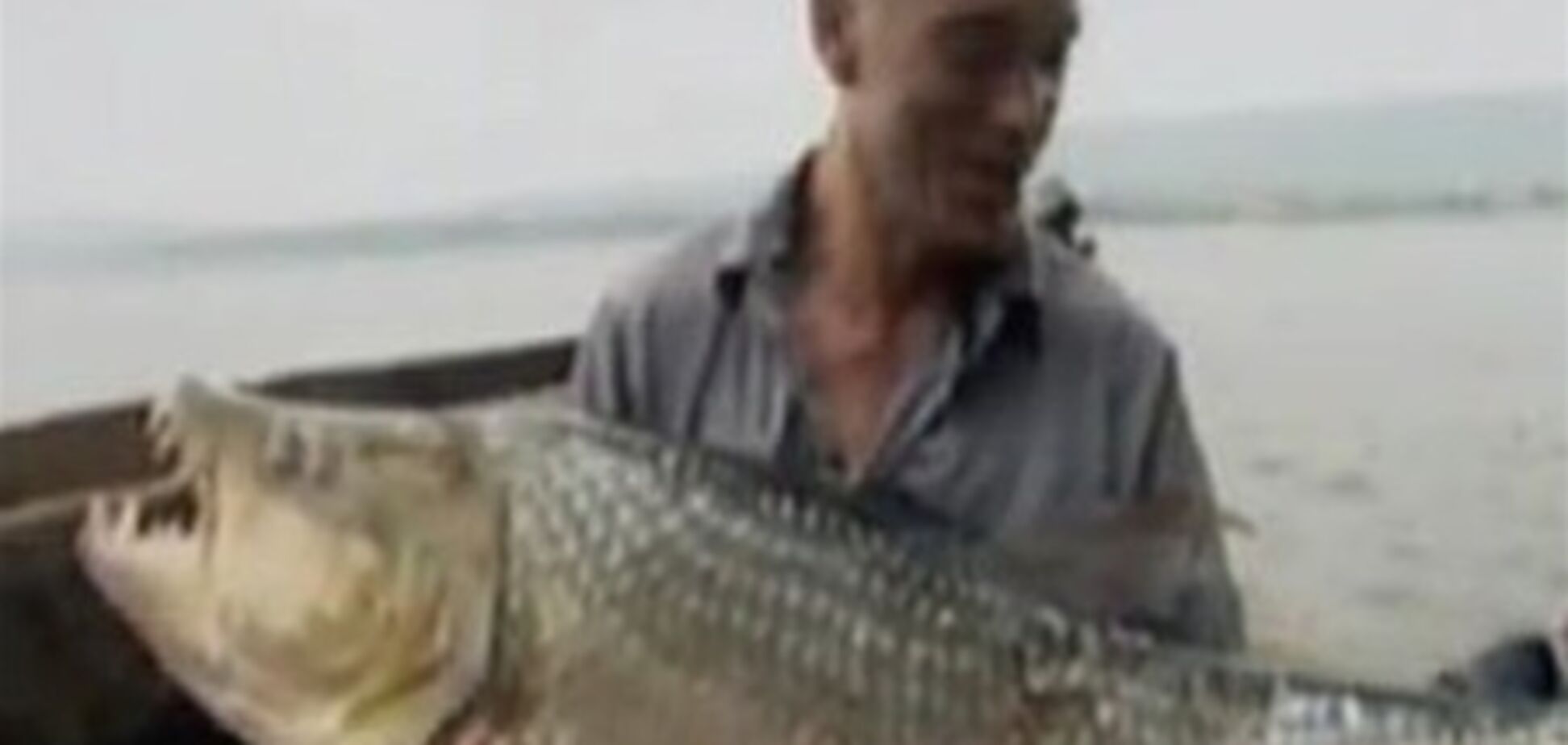 Рыбак поймал 50-килограммовую пиранью. ФОТО