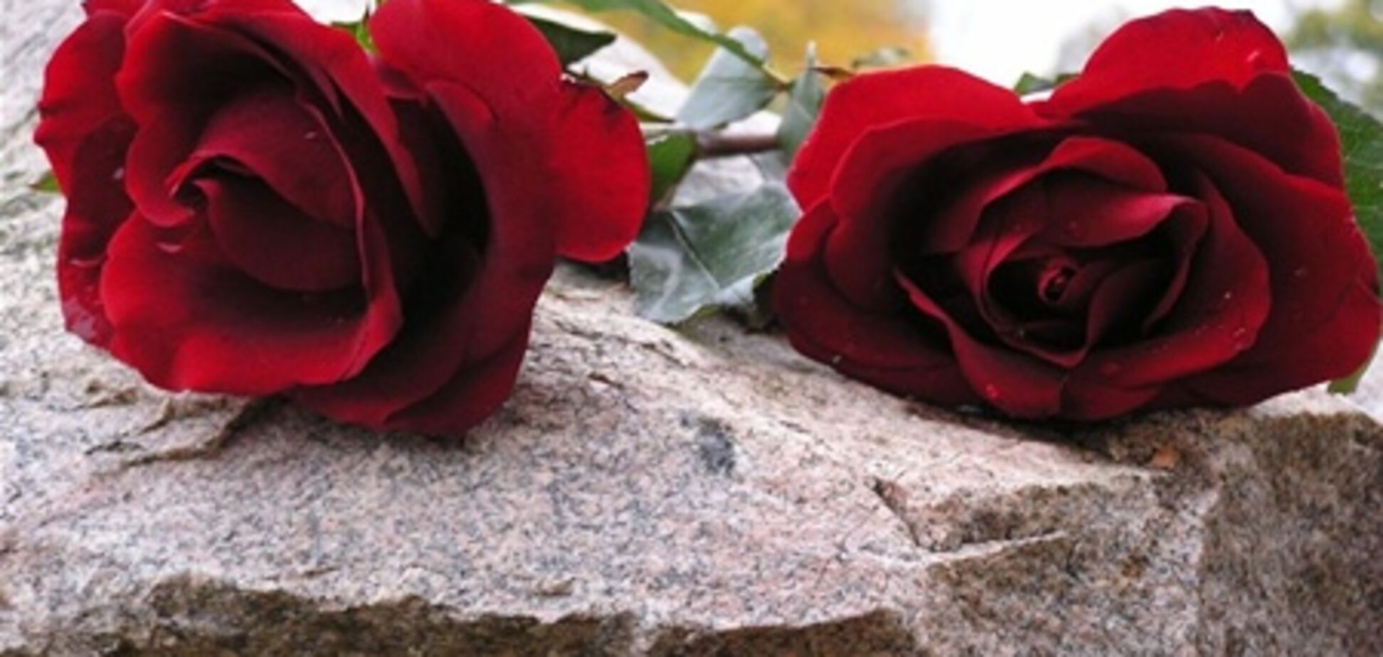 Умер писатель Владимир Кунин