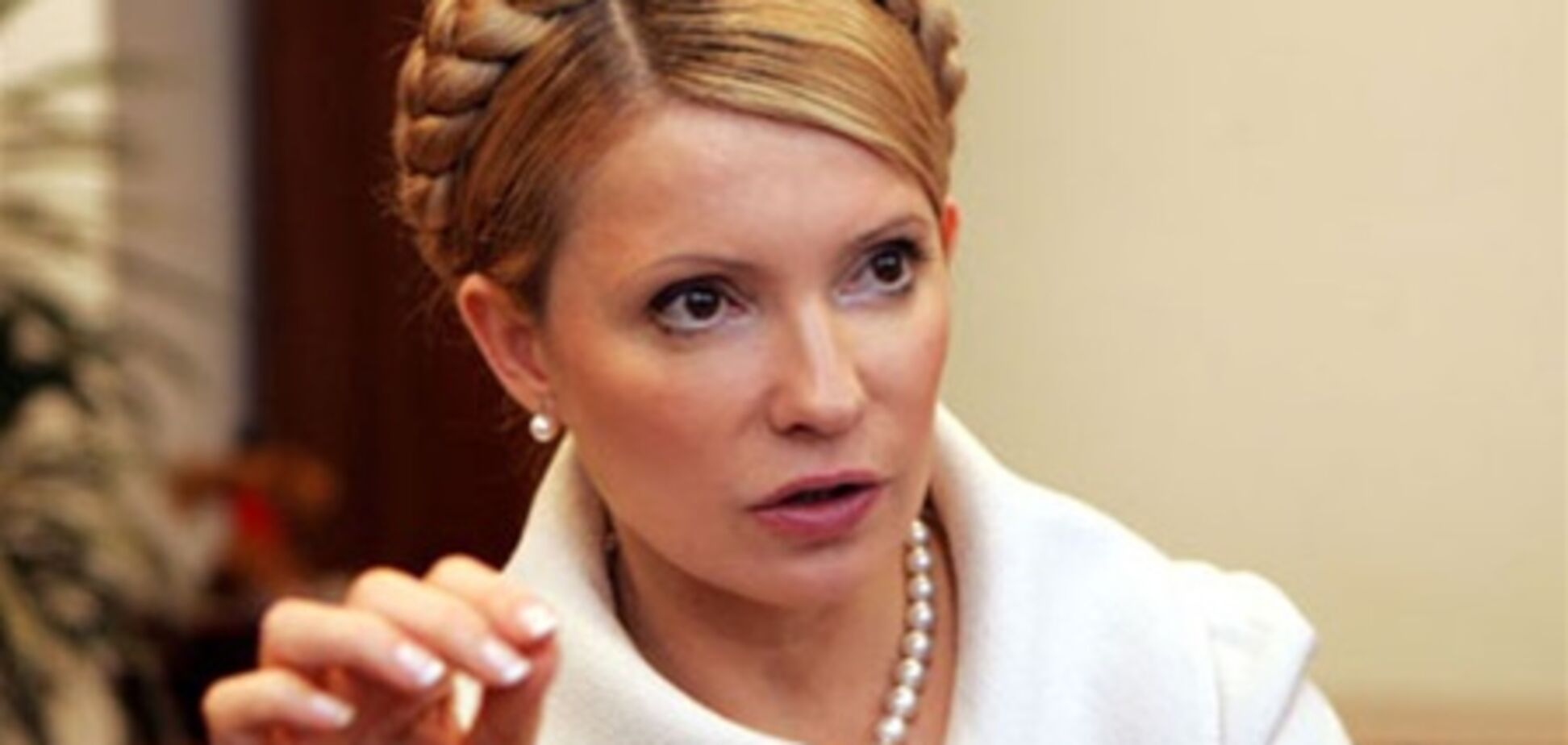 Тимошенко наябедничает главе ОБСЕ на Януковича