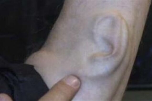 Ухо в руке во имя искусства