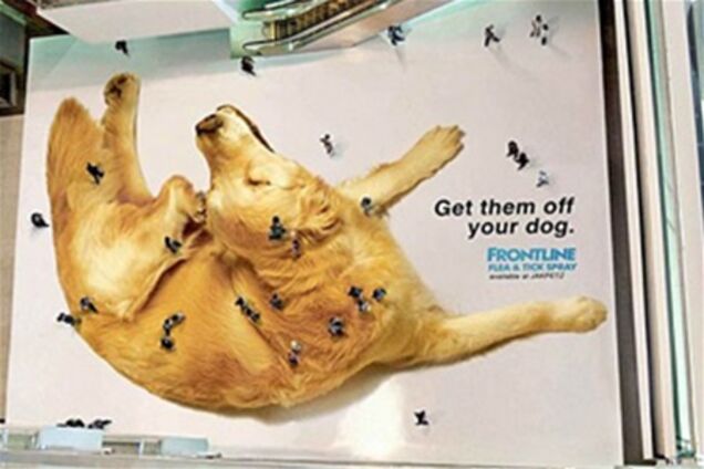 Необычная наружная реклама. Фото