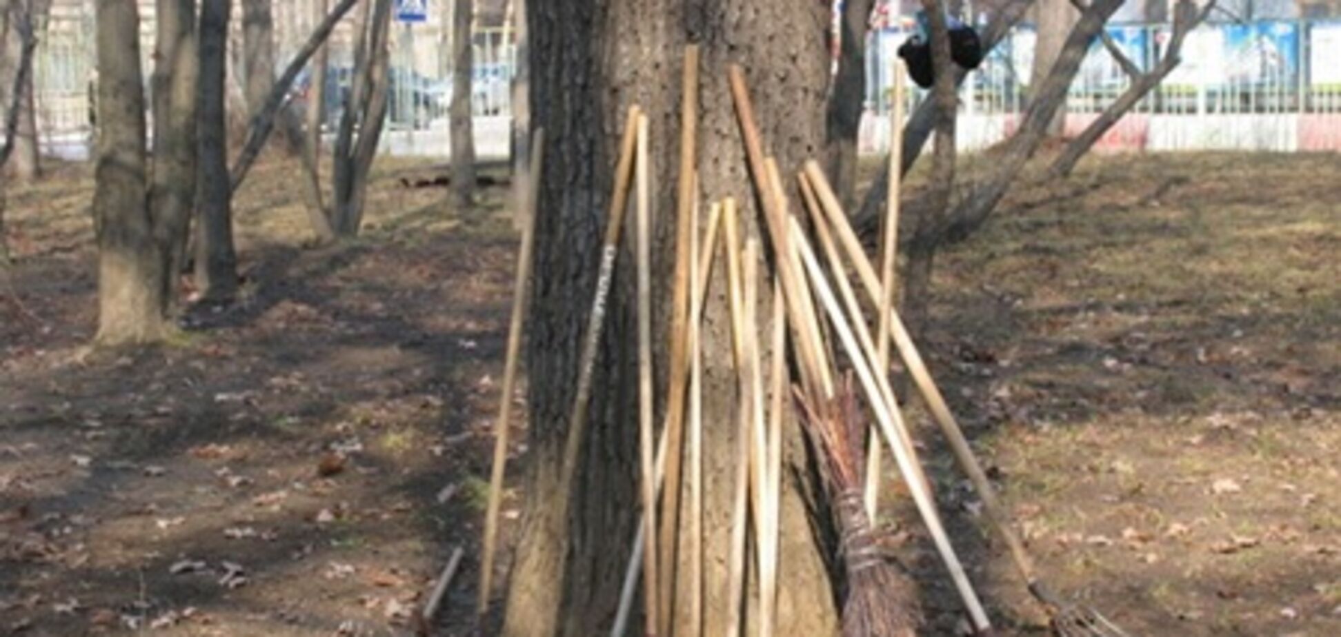 У Севастополі 5 березня планують провести чоловічий суботник