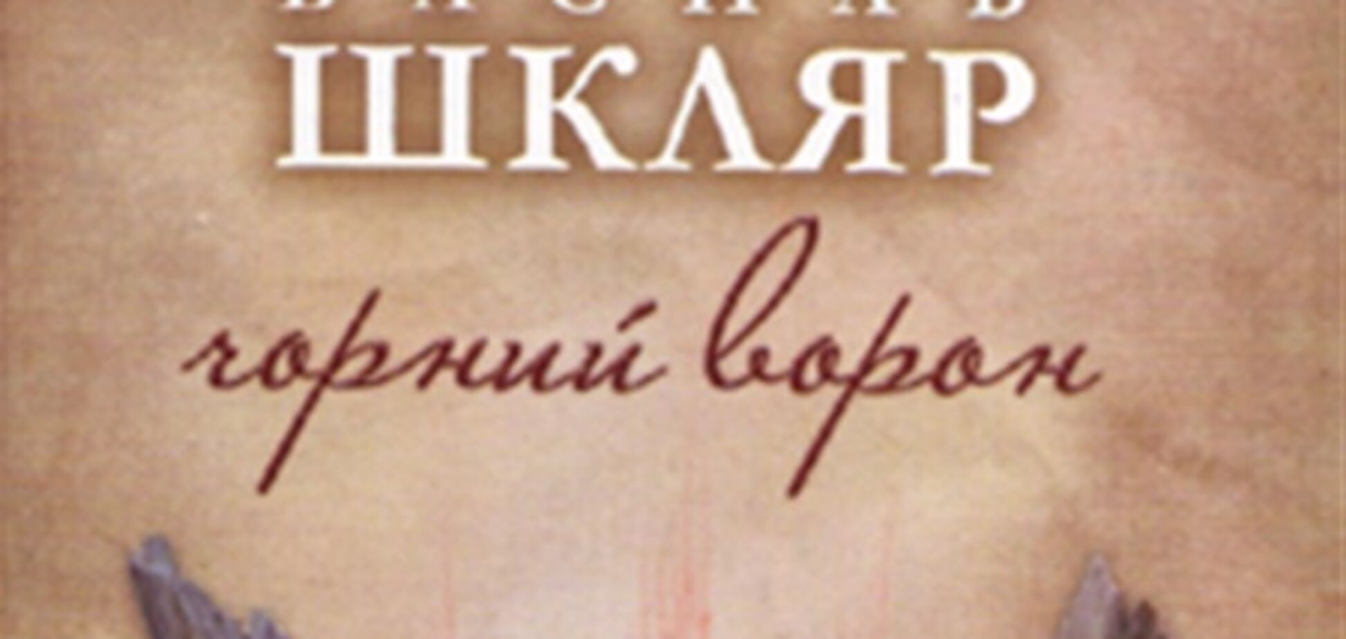 Літературна премія ім. Шевченка твору Шкляра - прикре непорозуміння - Фельдман