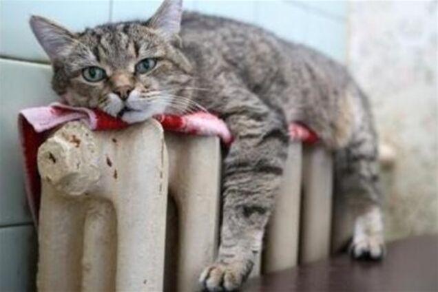 Жителям лівого берега в Києві стане тепліше 