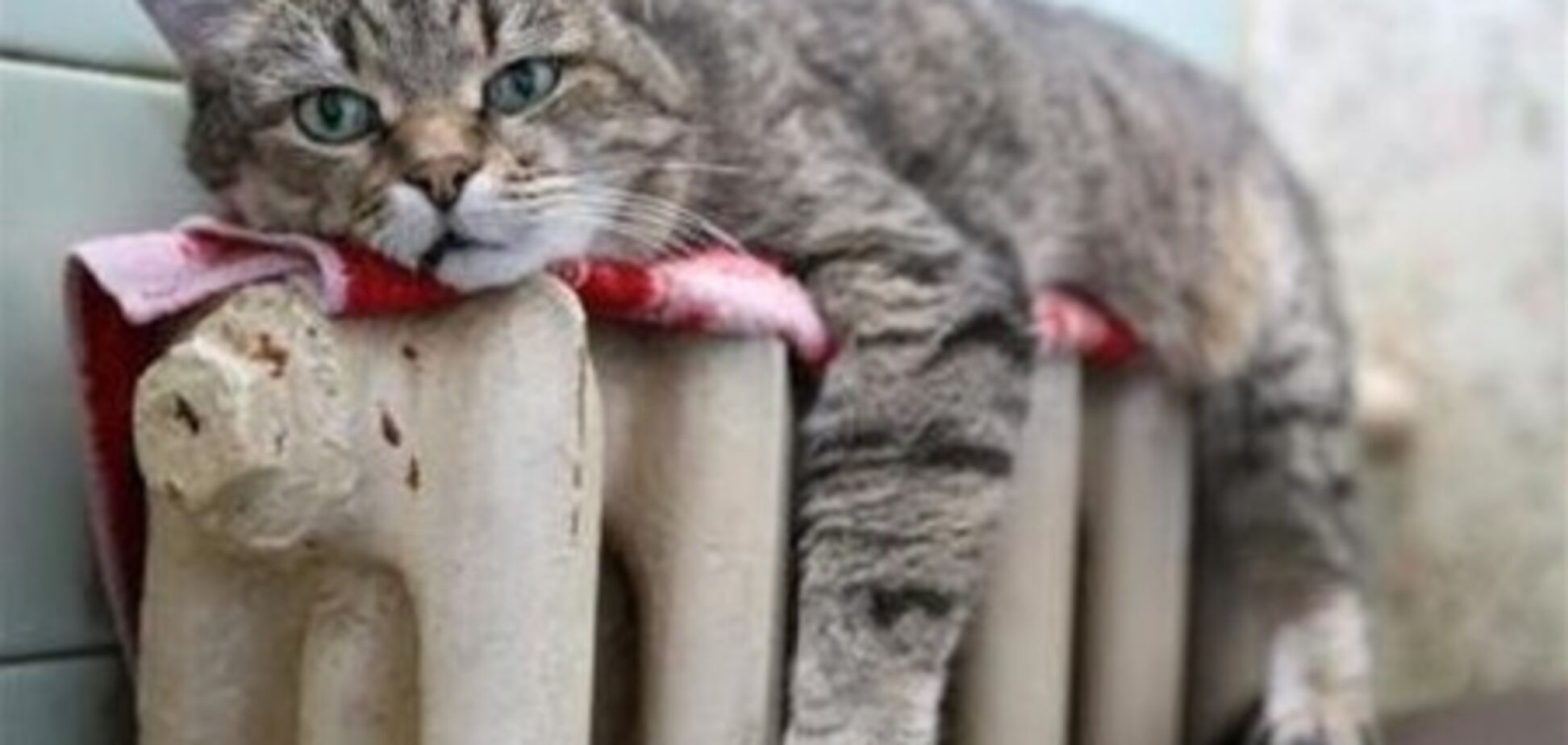 Жителям лівого берега в Києві стане тепліше