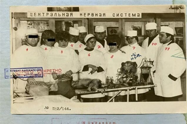 Розсекречена історія створення в СРСР першого в світі біоробота. Фото