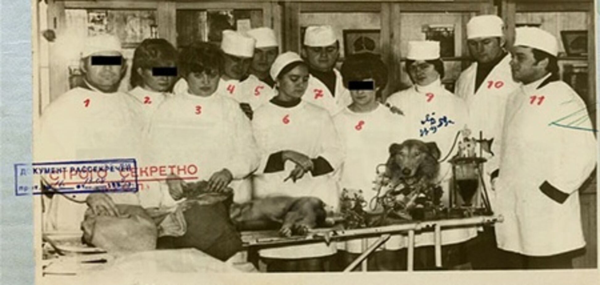 Рассекречена история создания в СССР первого в мире биоробота. Фото