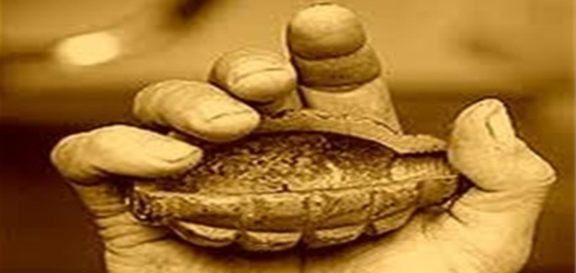 LIVE. Шокуючі гри дітей у смертників. Відео