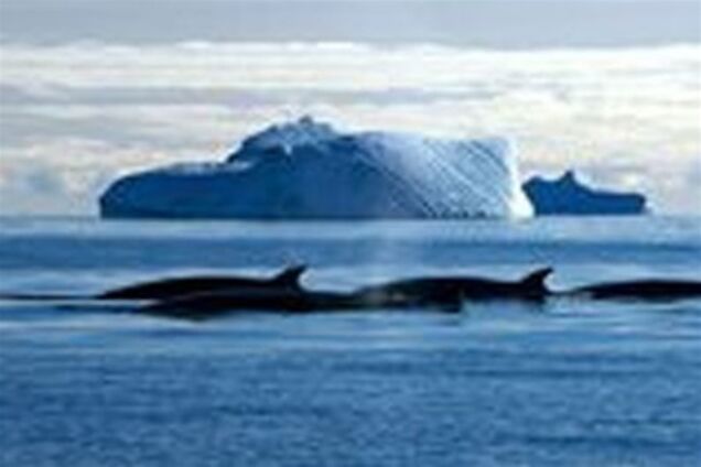 Антарктида не грозит нам Всемирным потопом