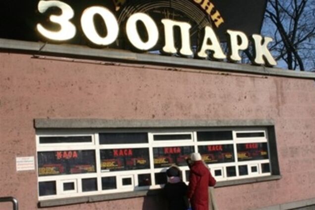 В киевском зоопарке появится преемник слона Боя