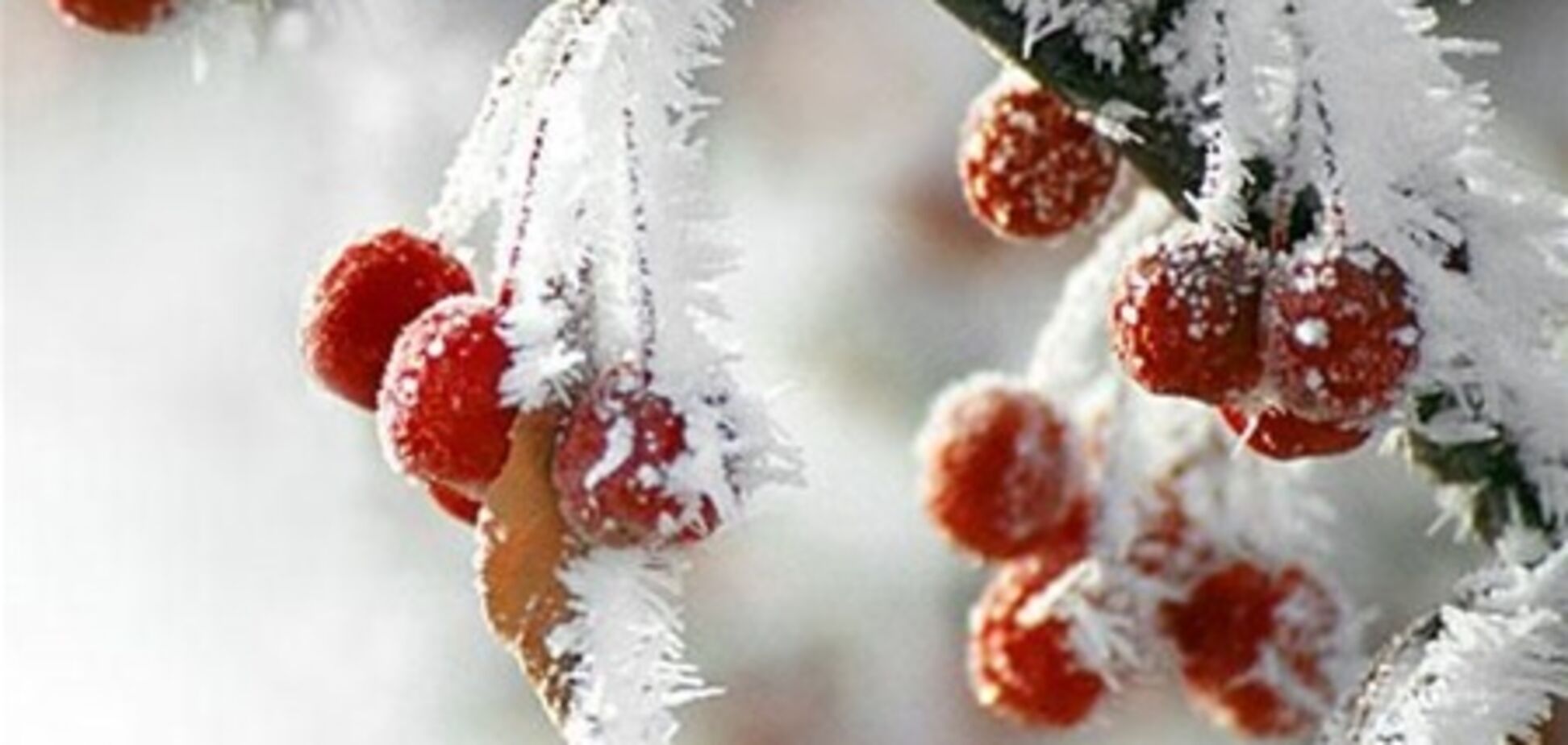 В Україні дещо похолодає