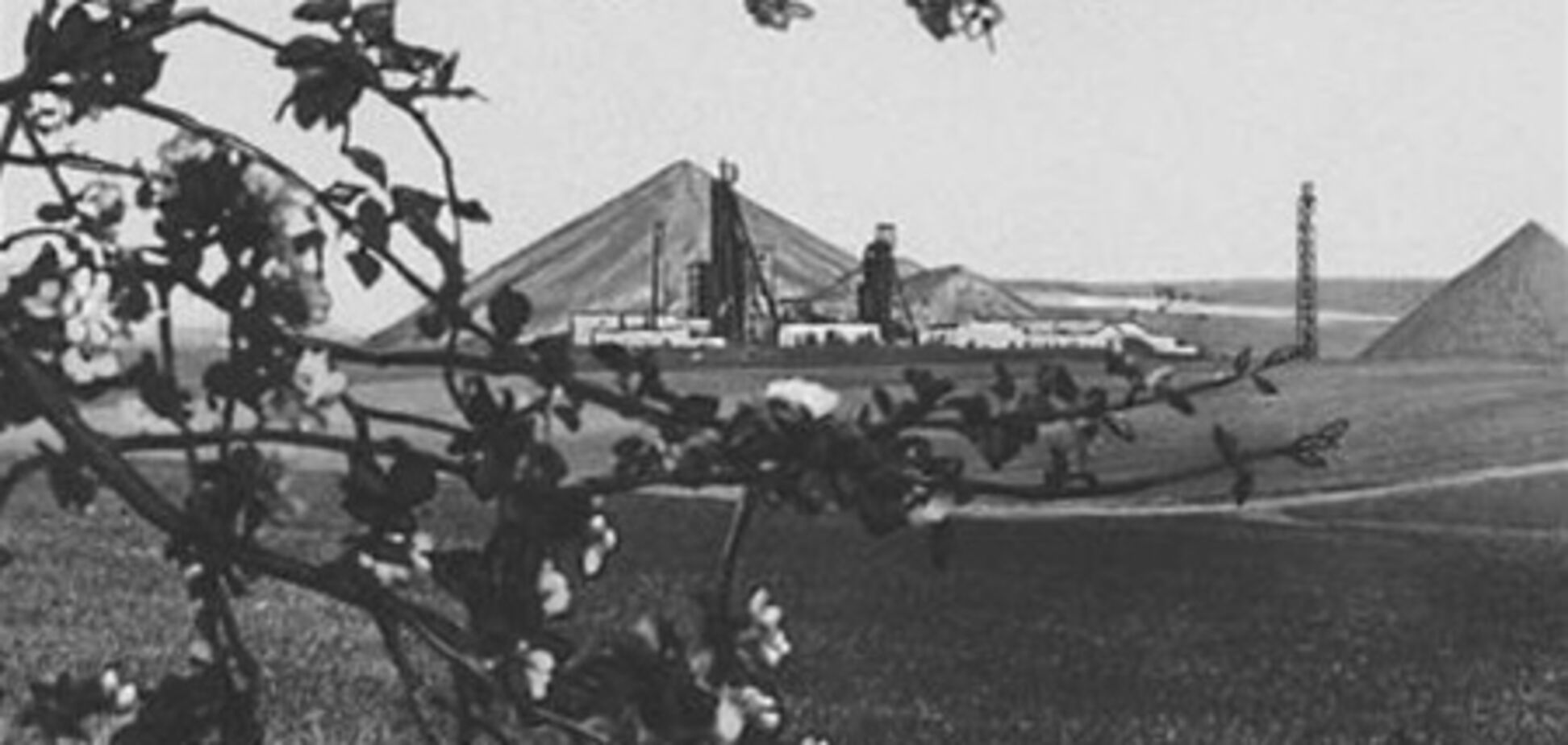 Волинь. Делегація з Китаю прибула з робочим візитом в область