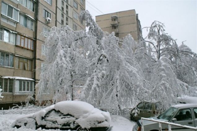 У Попова отчитались за убранный снег