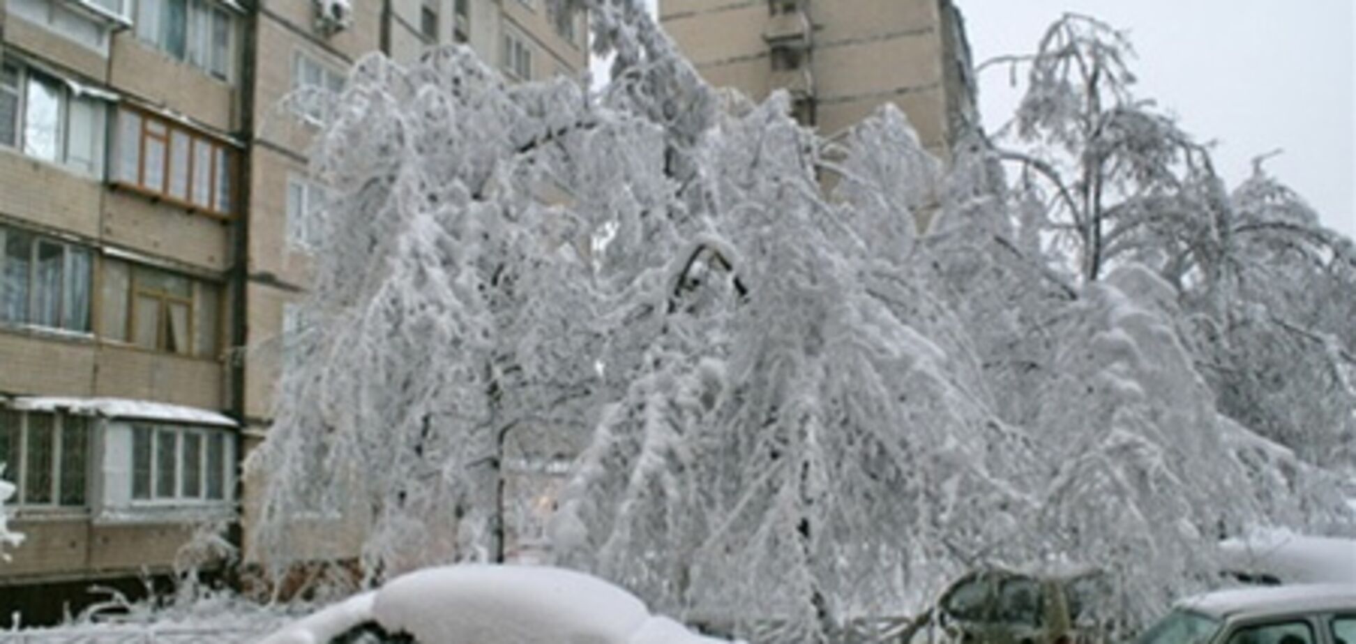 У Попова отчитались за убранный снег