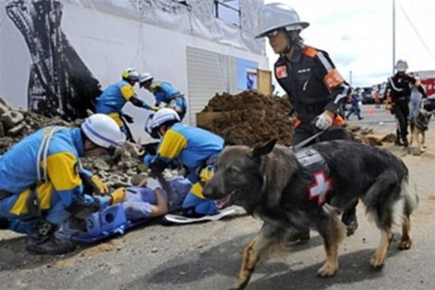 Число погибших и пропавших без вести в Японии увеличилось до 13 тысяч