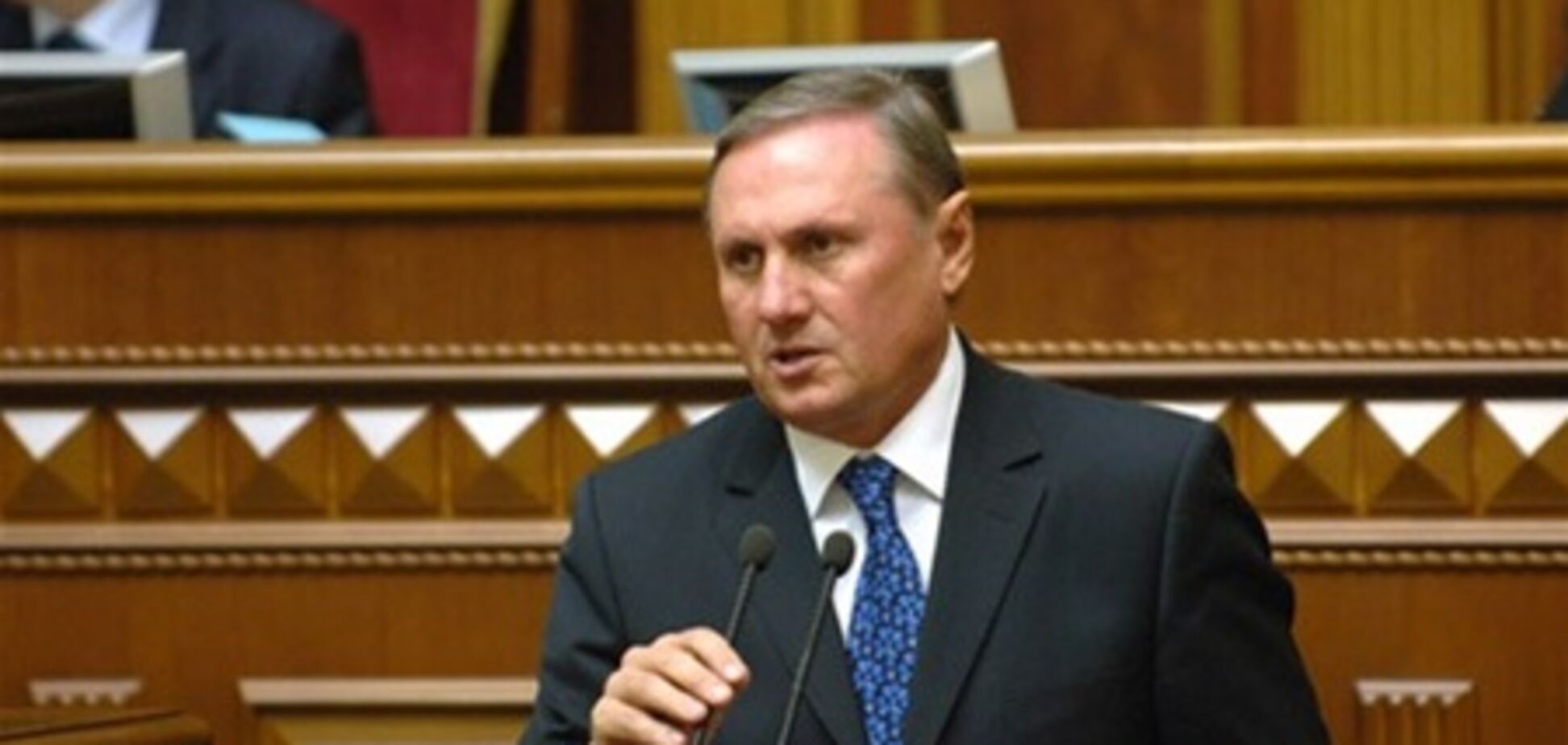 Єфремов: у Партії регіонів немає єдиної думки щодо пенсійної реформи