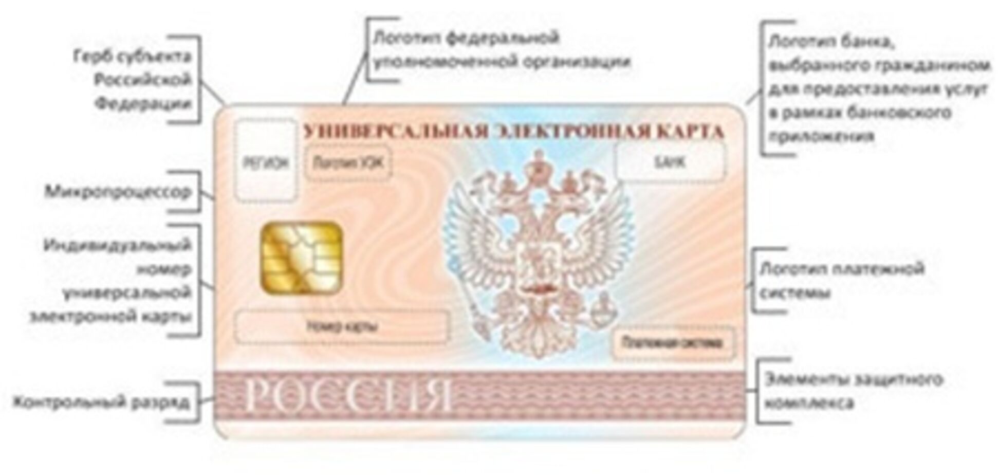 Медведев распорядился пометить всех россиян чипом до 1 марта