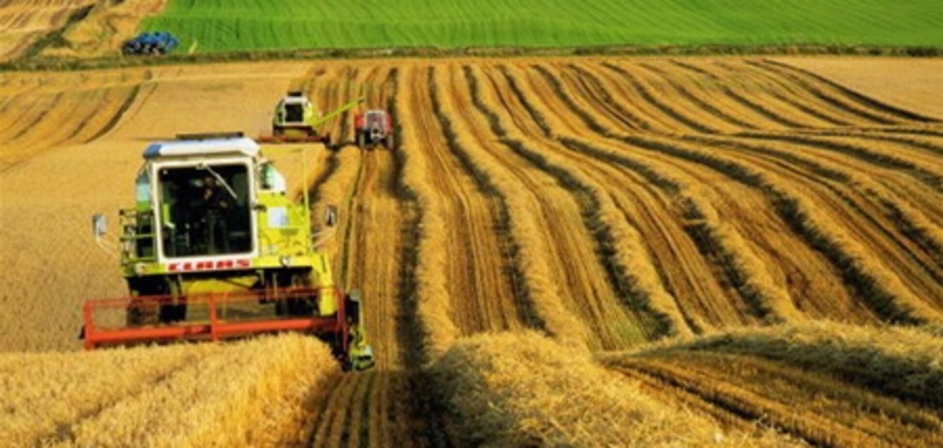 Азаров даст сельскому хозяйству недорогой бензин