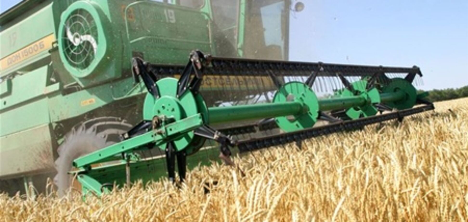 В Украине на грядущий год посеяли 32 тыс. га зерна