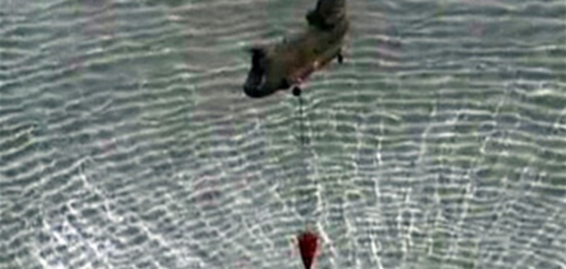 На третий и четвертый реакторы АЭС 'Фукусима-1' сбросили воду. ВИДЕО