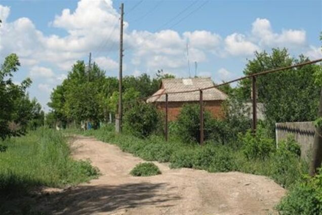 Донеччина. Голова колгоспу приватизувала все село