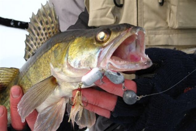 Вилов риби в Україні катастрофічно зменшується, 18 марта 2011