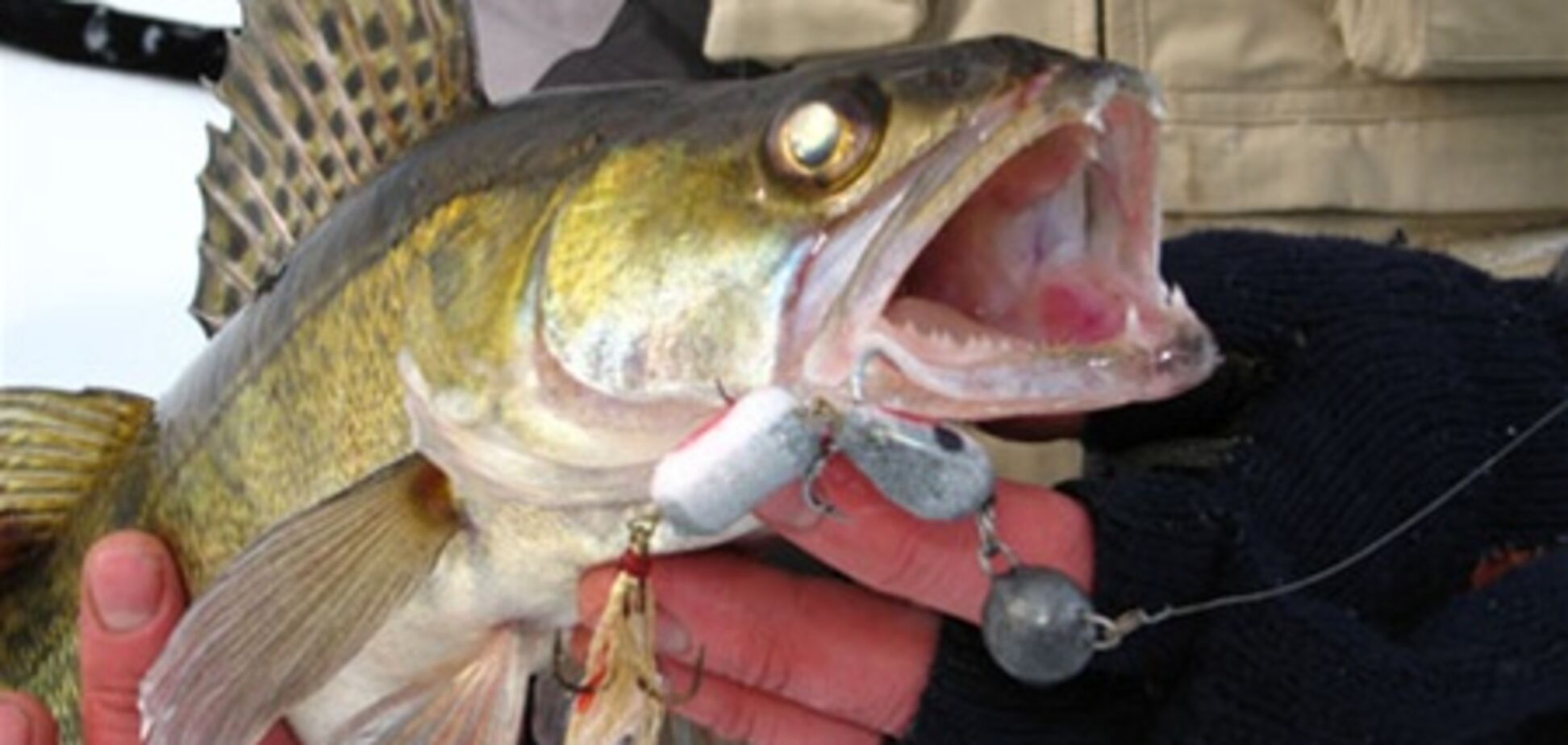 Вилов риби в Україні катастрофічно зменшується, 18 марта 2011