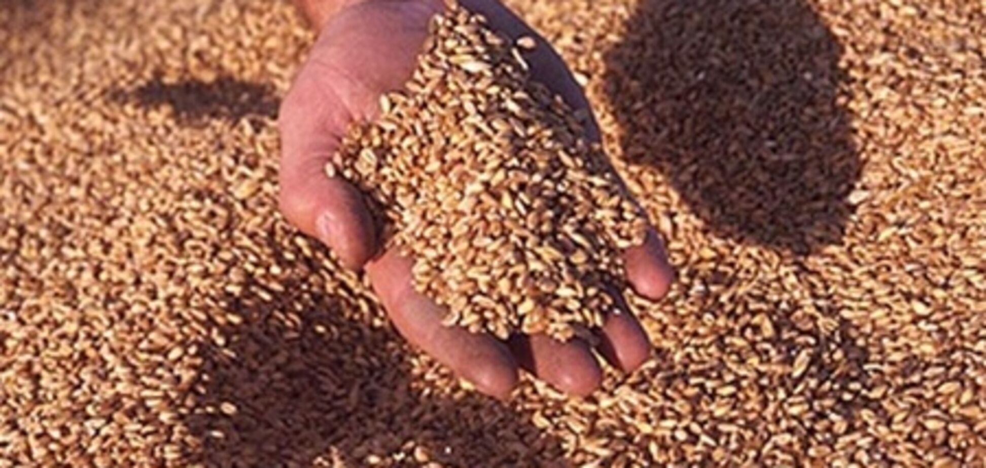 Детали форвардных госзакупок зерна