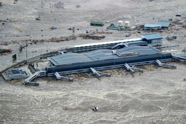 Ливия, Япония, крысы и таможенники