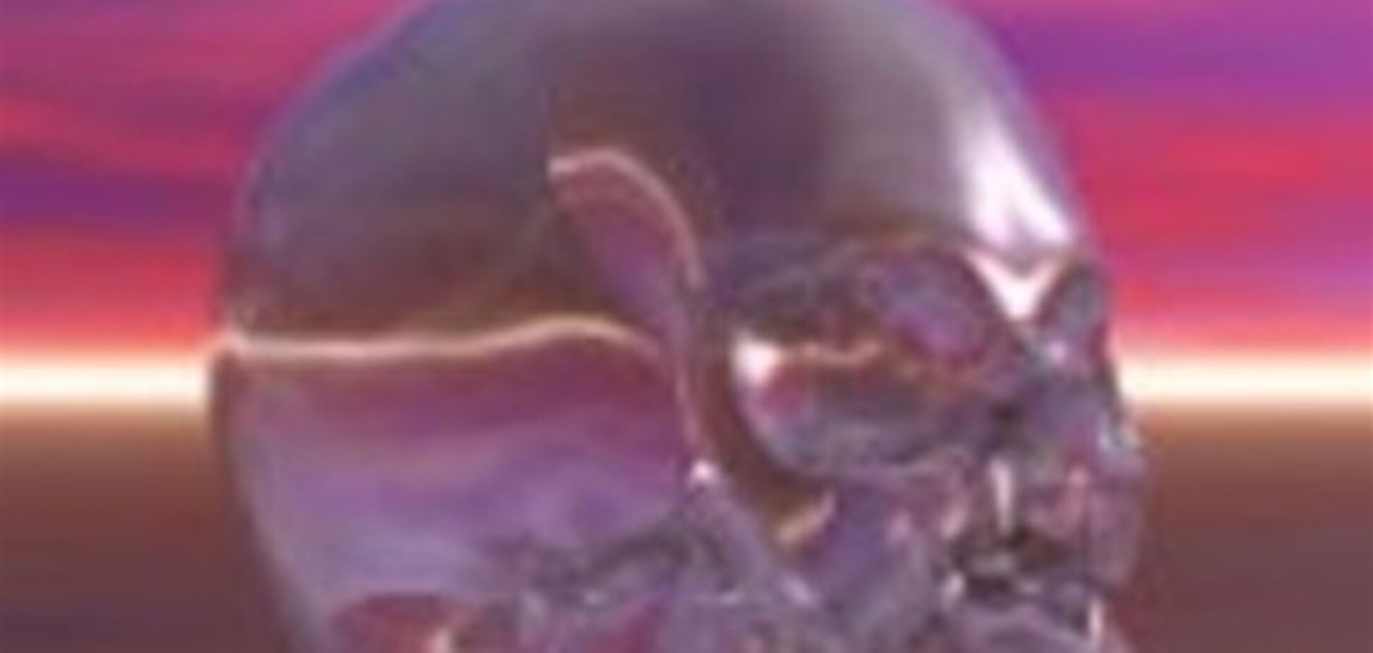 У Баварії знайдений кришталевий череп Гіммлера