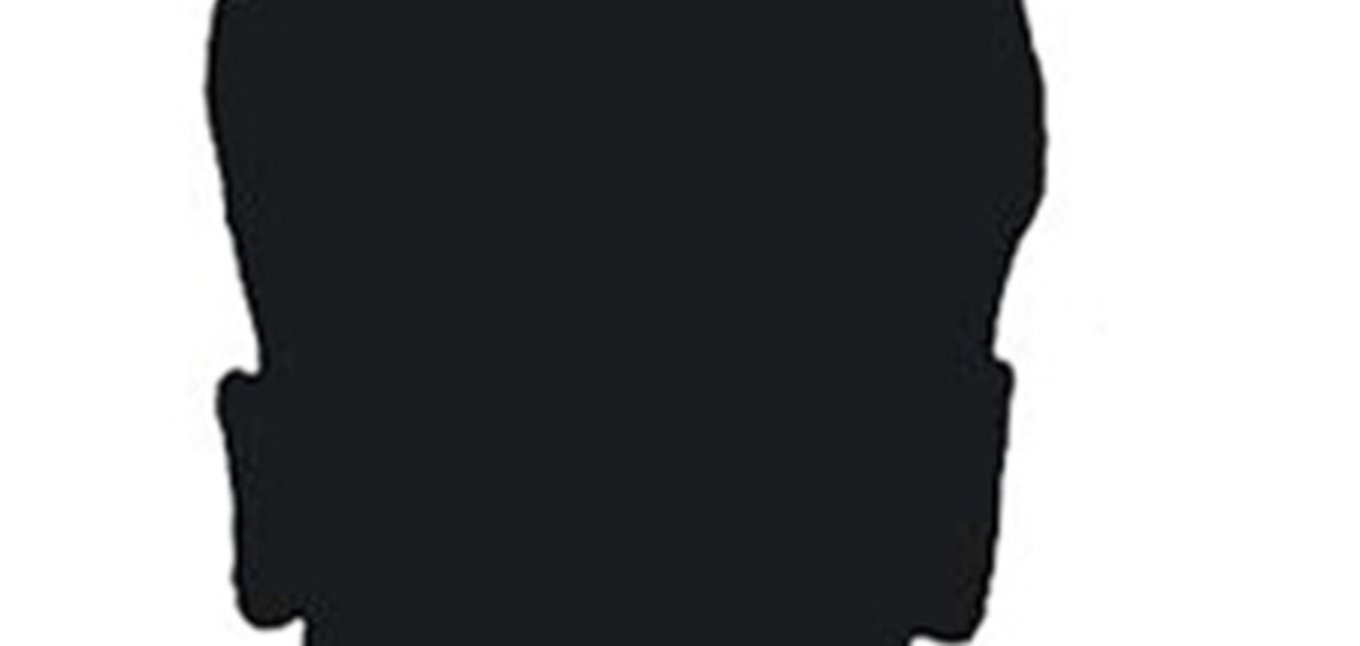 Апелляционный суд: в деле Гонгадзе заказчиков нет