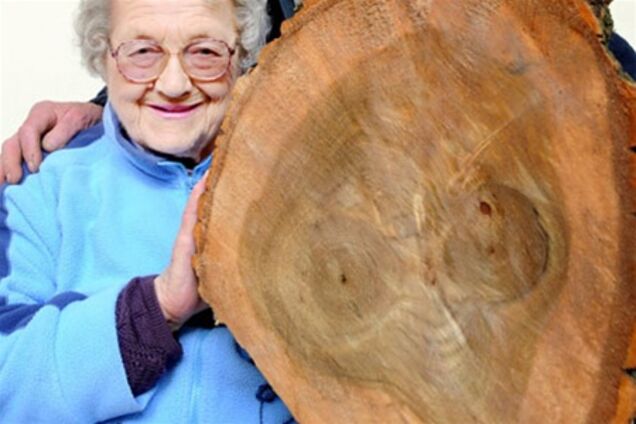 Пенсіонер побачив обличчя інопланетянина на колоді. Фото