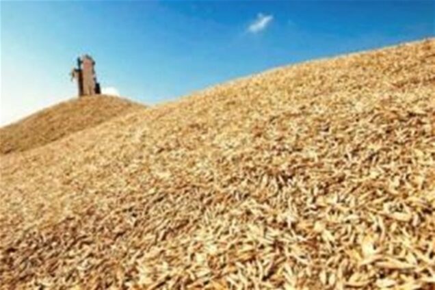 Экспорт зерна монополизируют. Рада не против