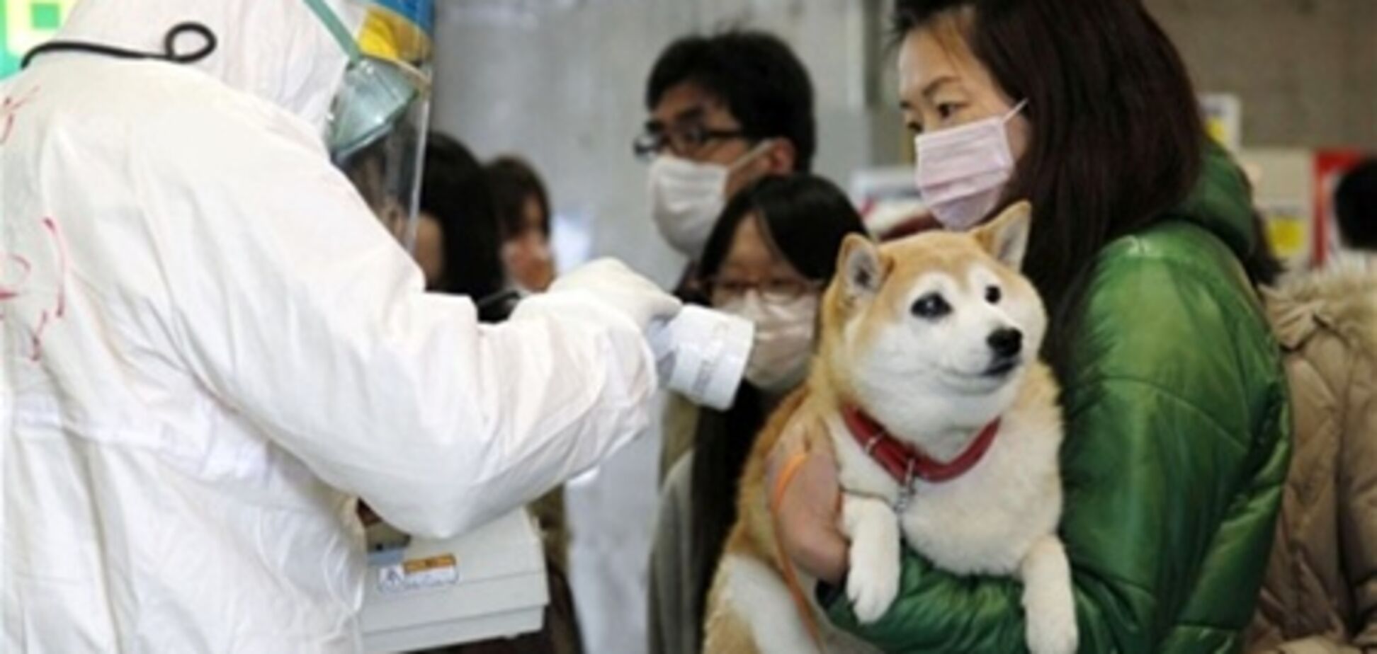 Японию зальет радиационным дождем. Граждан просят не выходить из дома