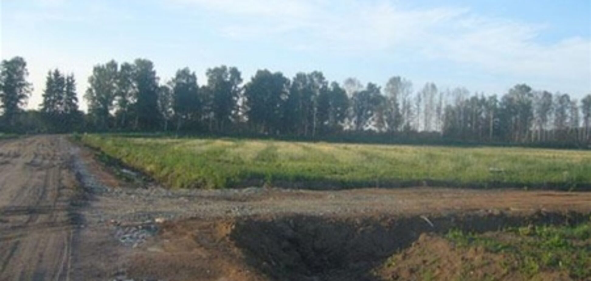 Янукович назвал дату открытия рынка земли с/х назначения