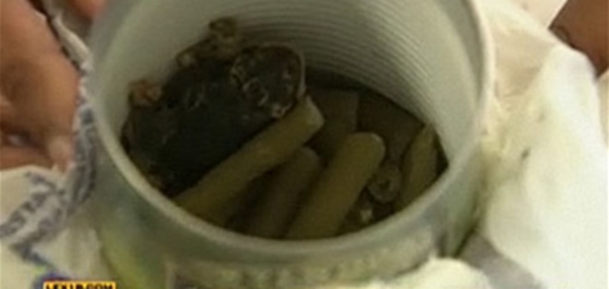 У банку разом з консервованою квасолею жінка знайшла жабу