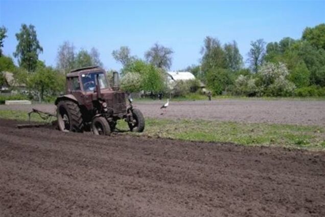 Олігархи є найбільшими орендарями українських сільгоспземель